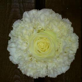 fwthumb19 bridesmaids handtie 40.00.jpg